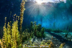 [:b:]Like a  fairytale.[:/b:]
San Giorgio Liri's lake. by Francesco Pacienza 